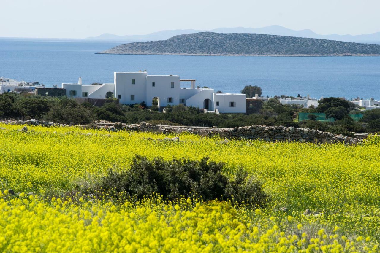 Villa Theros Aliki  Exterior photo